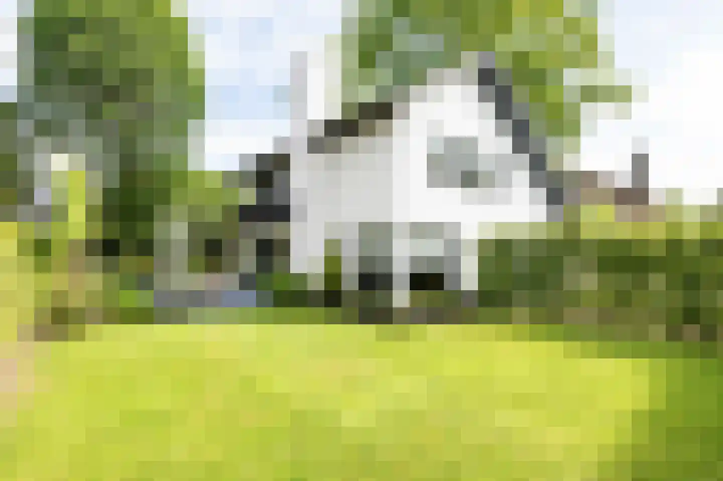 Akeleilaan 11 Valkenswaard thumbnail 43
