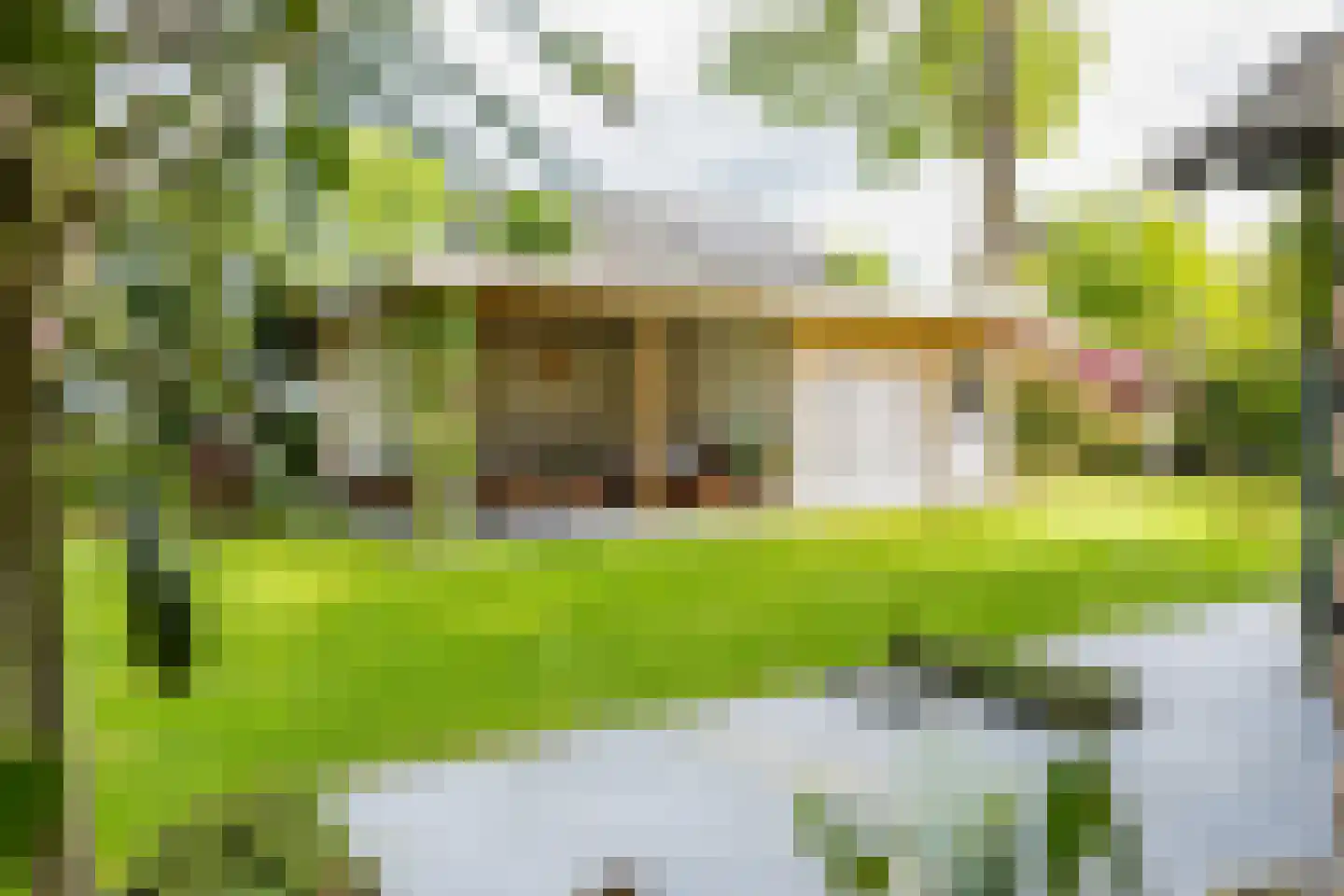 Akeleilaan 11 Valkenswaard thumbnail 48