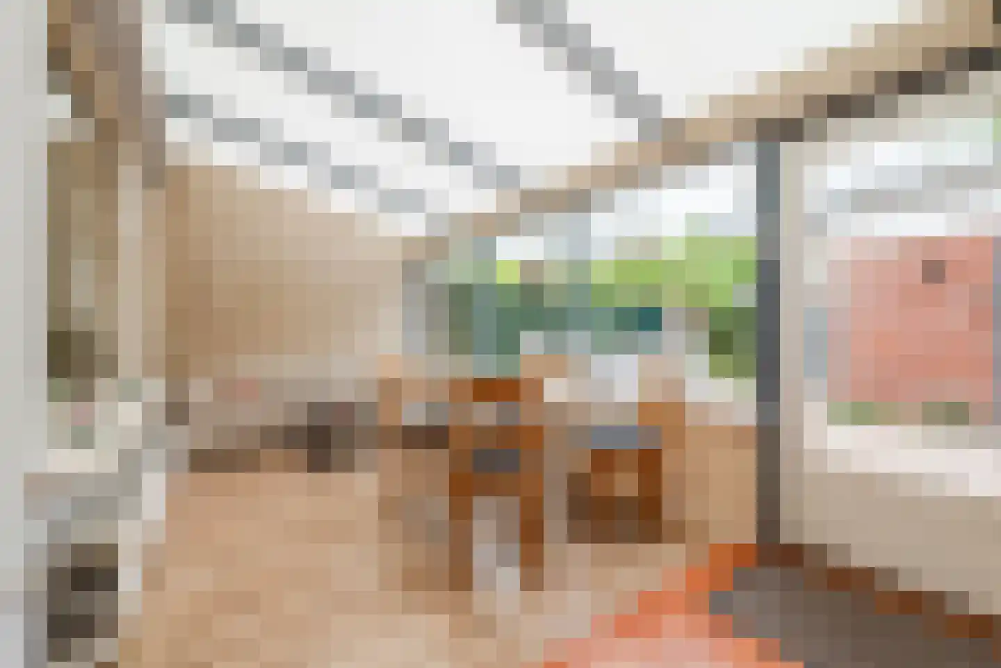 Akeleilaan 15 Waalre thumbnail 15