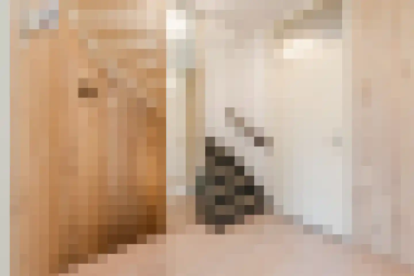 Akeleilaan 15 Waalre thumbnail 20
