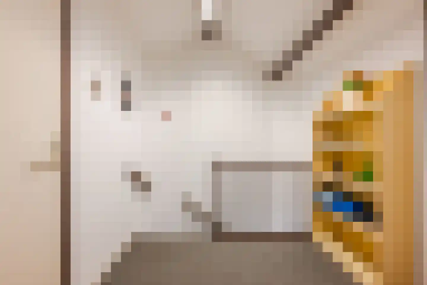 Akeleilaan 15 Waalre thumbnail 29