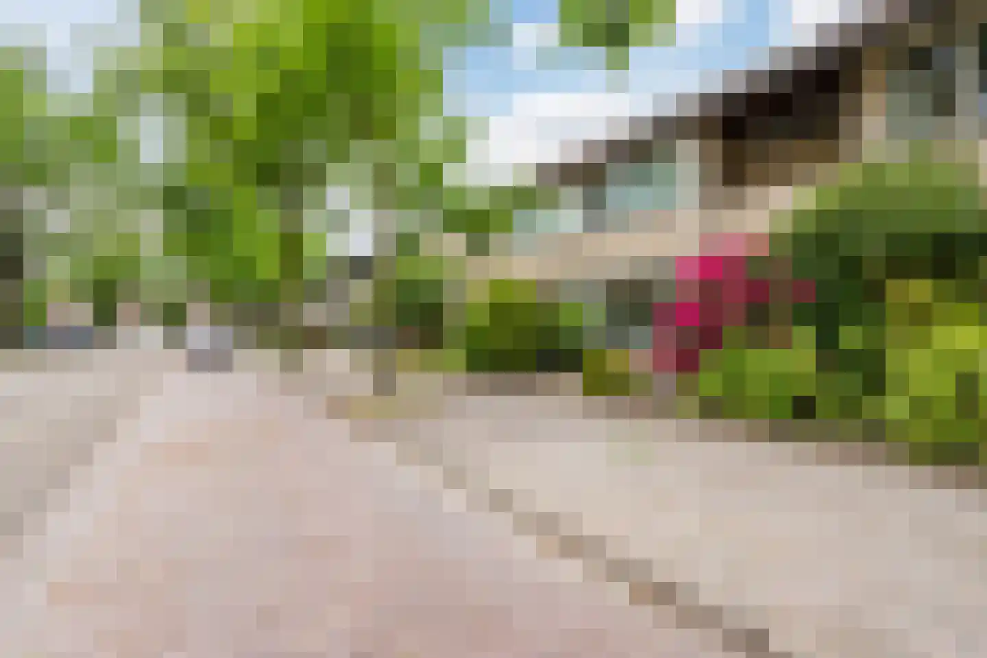 Akeleilaan 15 Waalre thumbnail 4