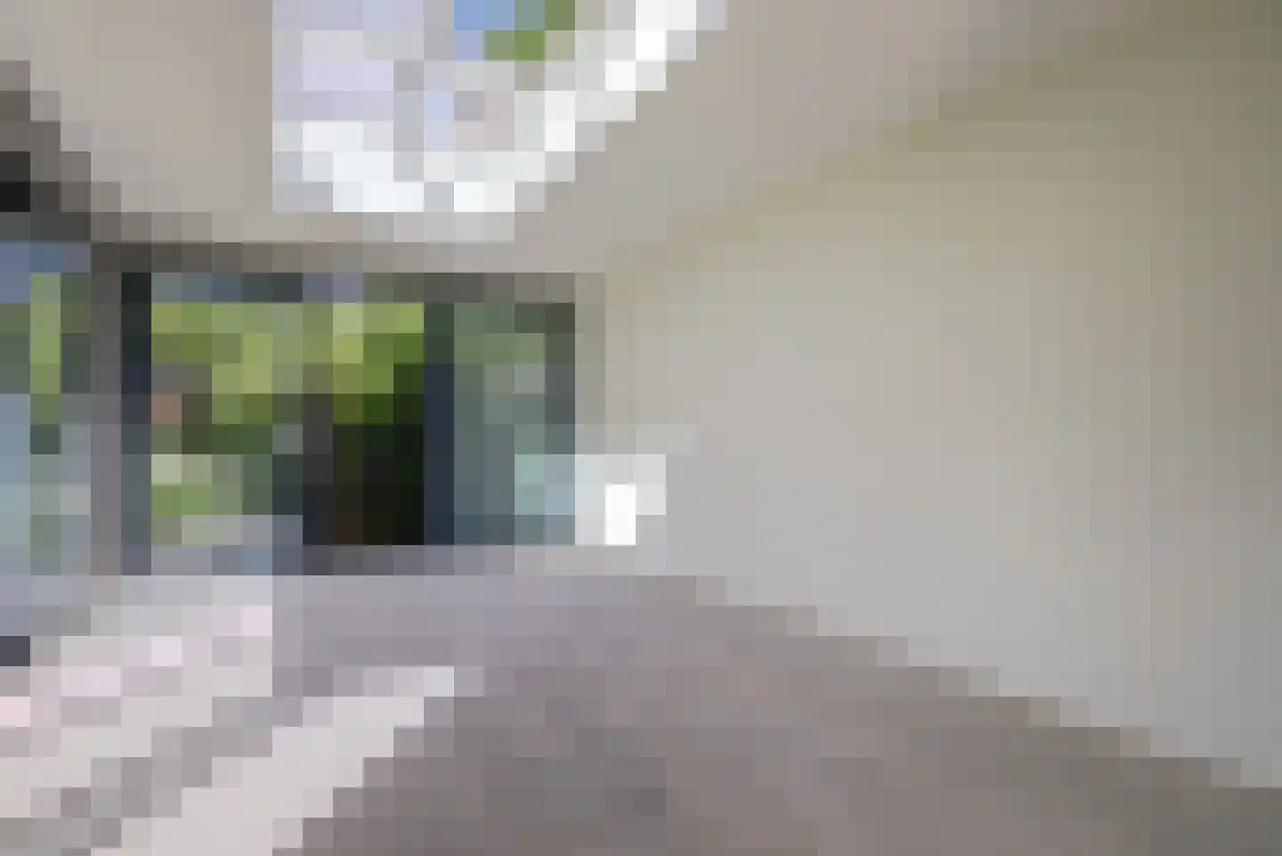 Akeleilaan 2 Zwijndrecht thumbnail 17