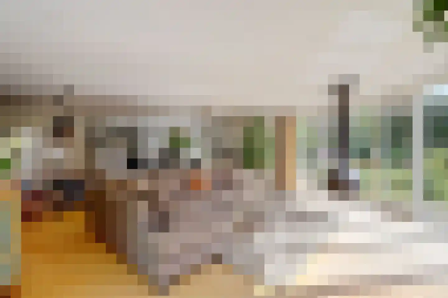Akeleilaan 2 Zwijndrecht thumbnail 21