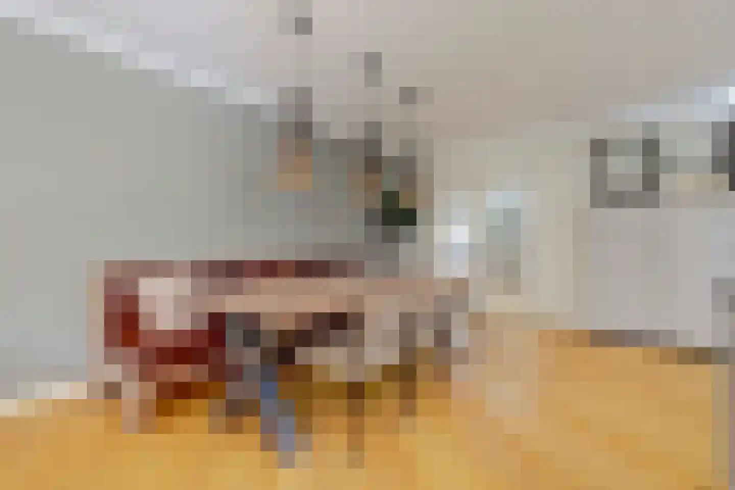 Akeleilaan 2 Zwijndrecht thumbnail 25
