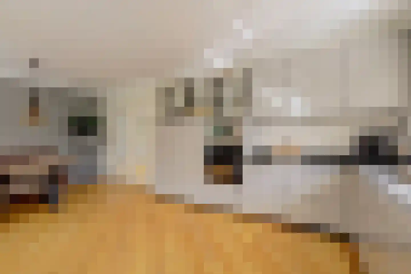 Akeleilaan 2 Zwijndrecht thumbnail 30