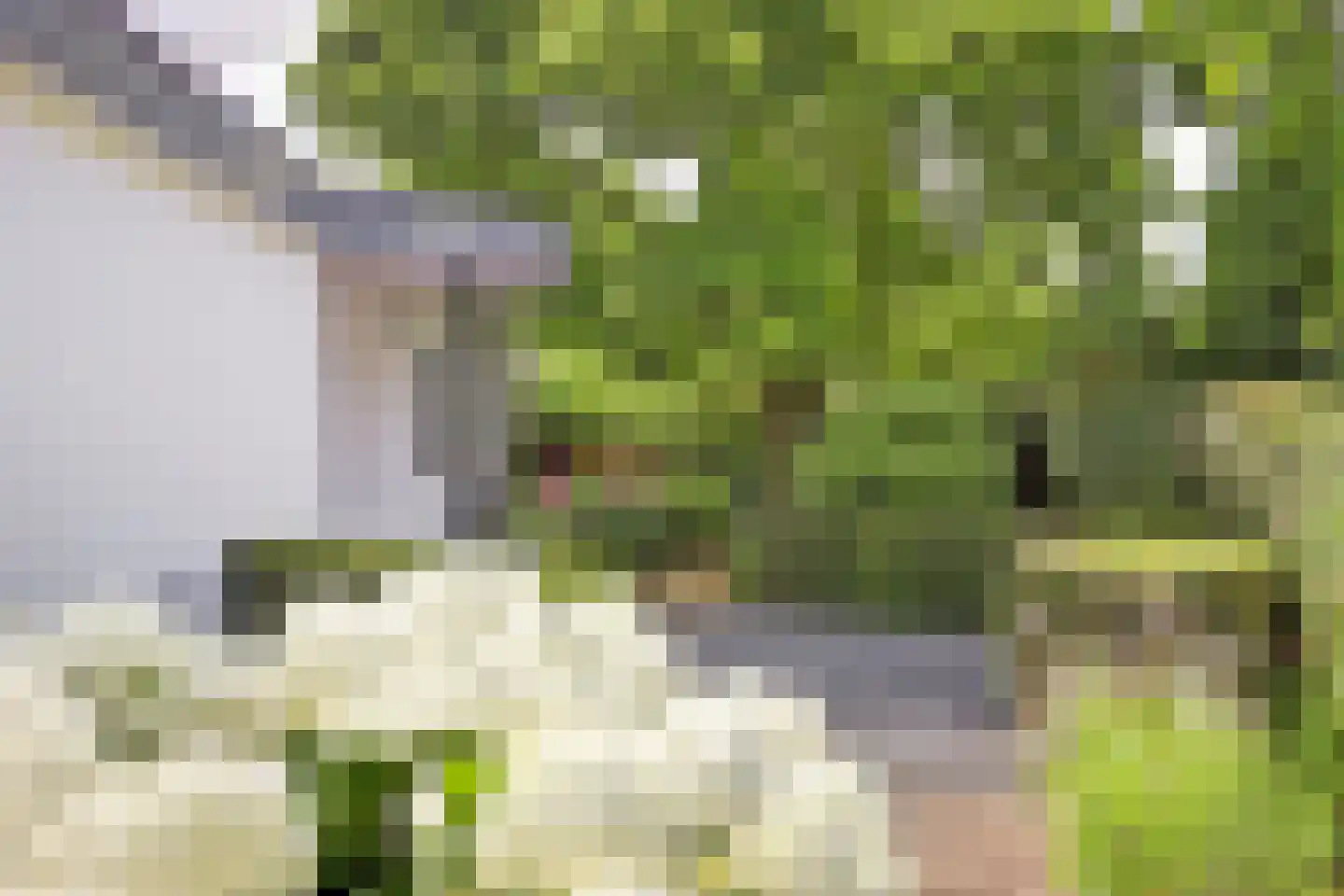 Akeleilaan 2 Zwijndrecht thumbnail 5