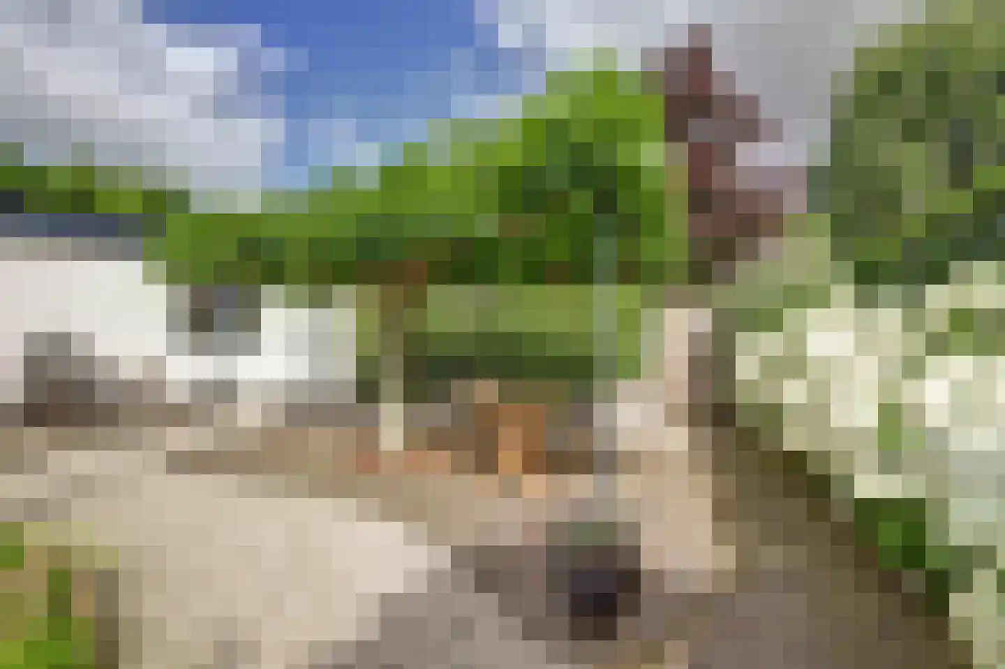 Akeleilaan 2 Zwijndrecht thumbnail 53