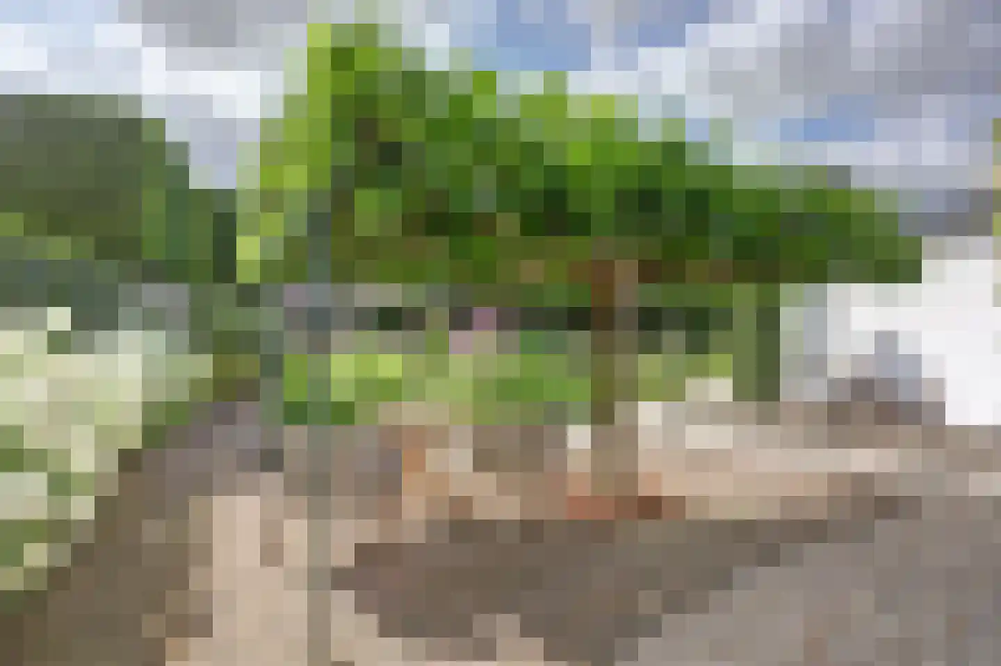 Akeleilaan 2 Zwijndrecht thumbnail 54