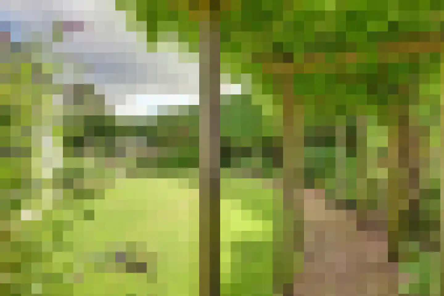 Akeleilaan 2 Zwijndrecht thumbnail 63