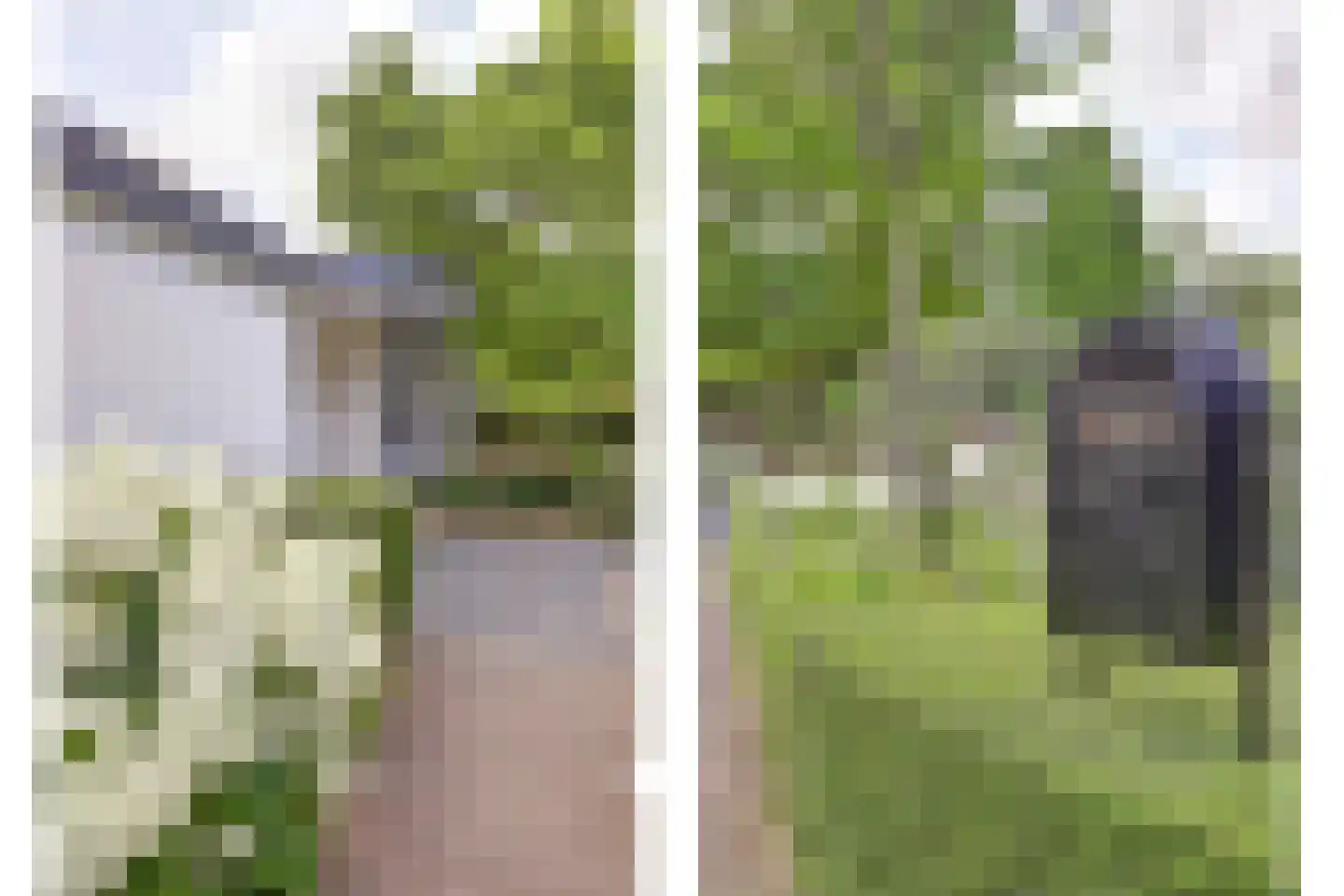 Akeleilaan 2 Zwijndrecht thumbnail 69