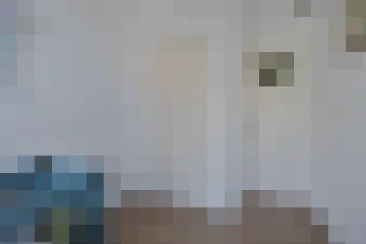 Akeleilaan 3 Oegstgeest thumbnail 31