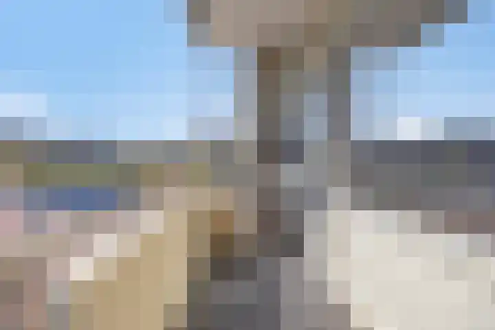 Akeleilaan 3 Oegstgeest thumbnail 36
