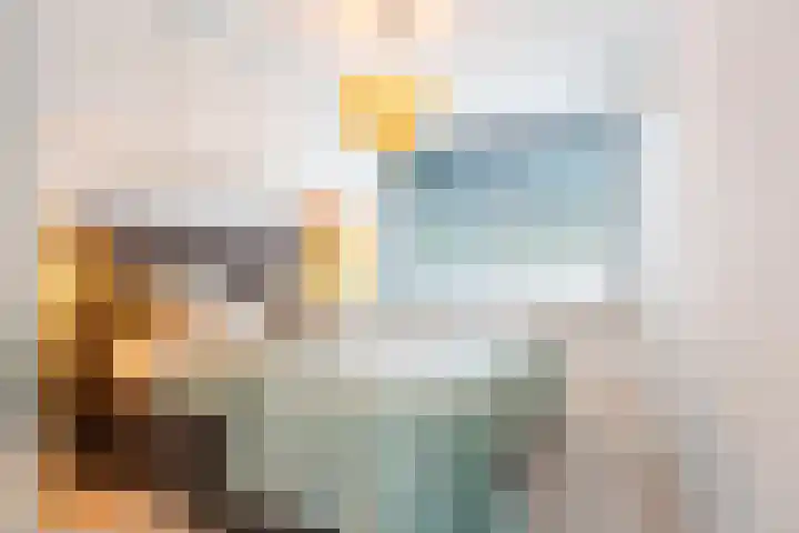 Akeleilaan 39 Oegstgeest thumbnail 12