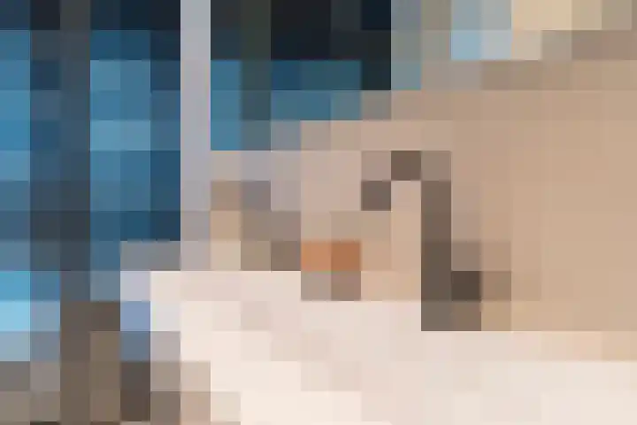 Akeleilaan 39 Oegstgeest thumbnail 19