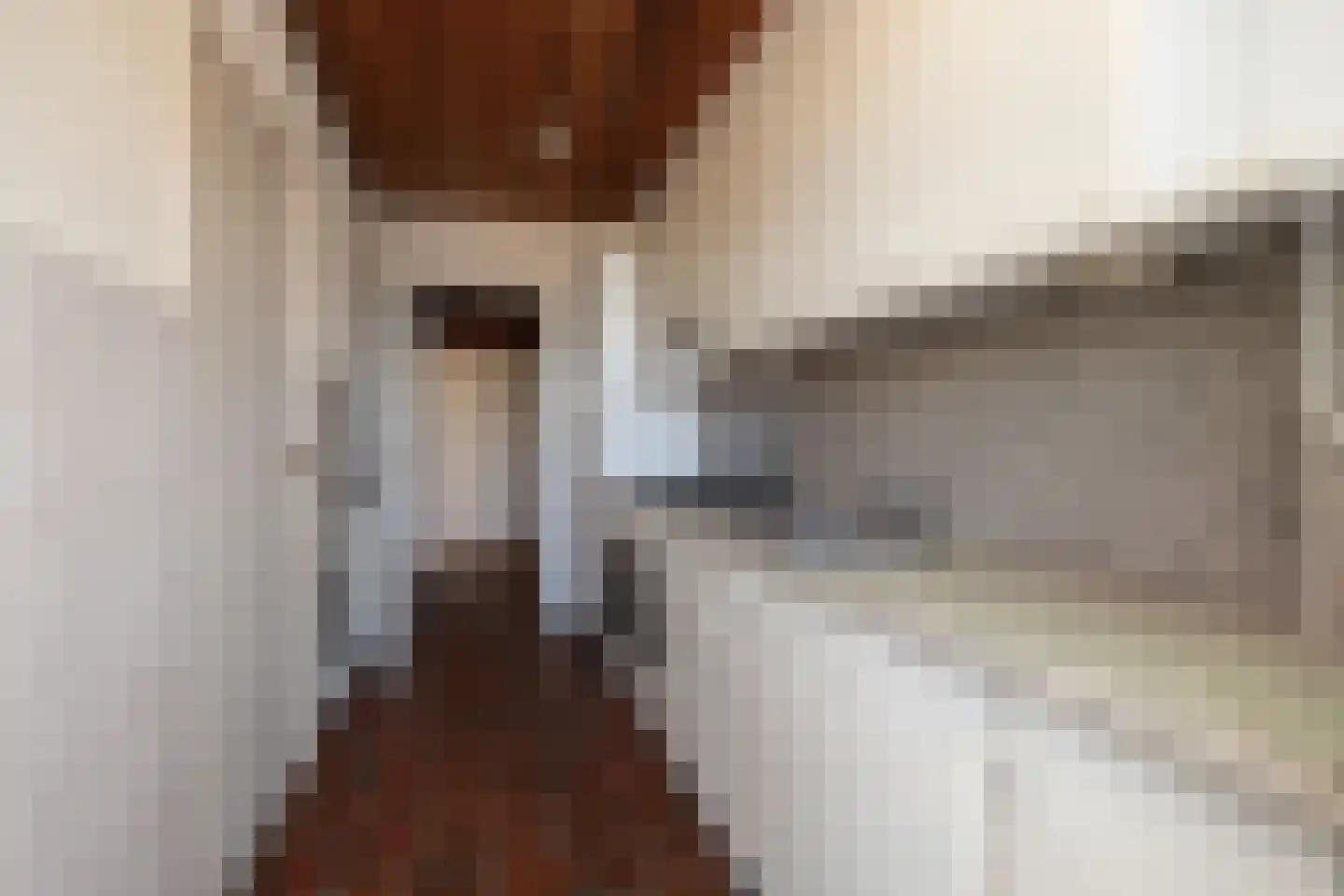Akeleilaan 45 Oegstgeest thumbnail 22