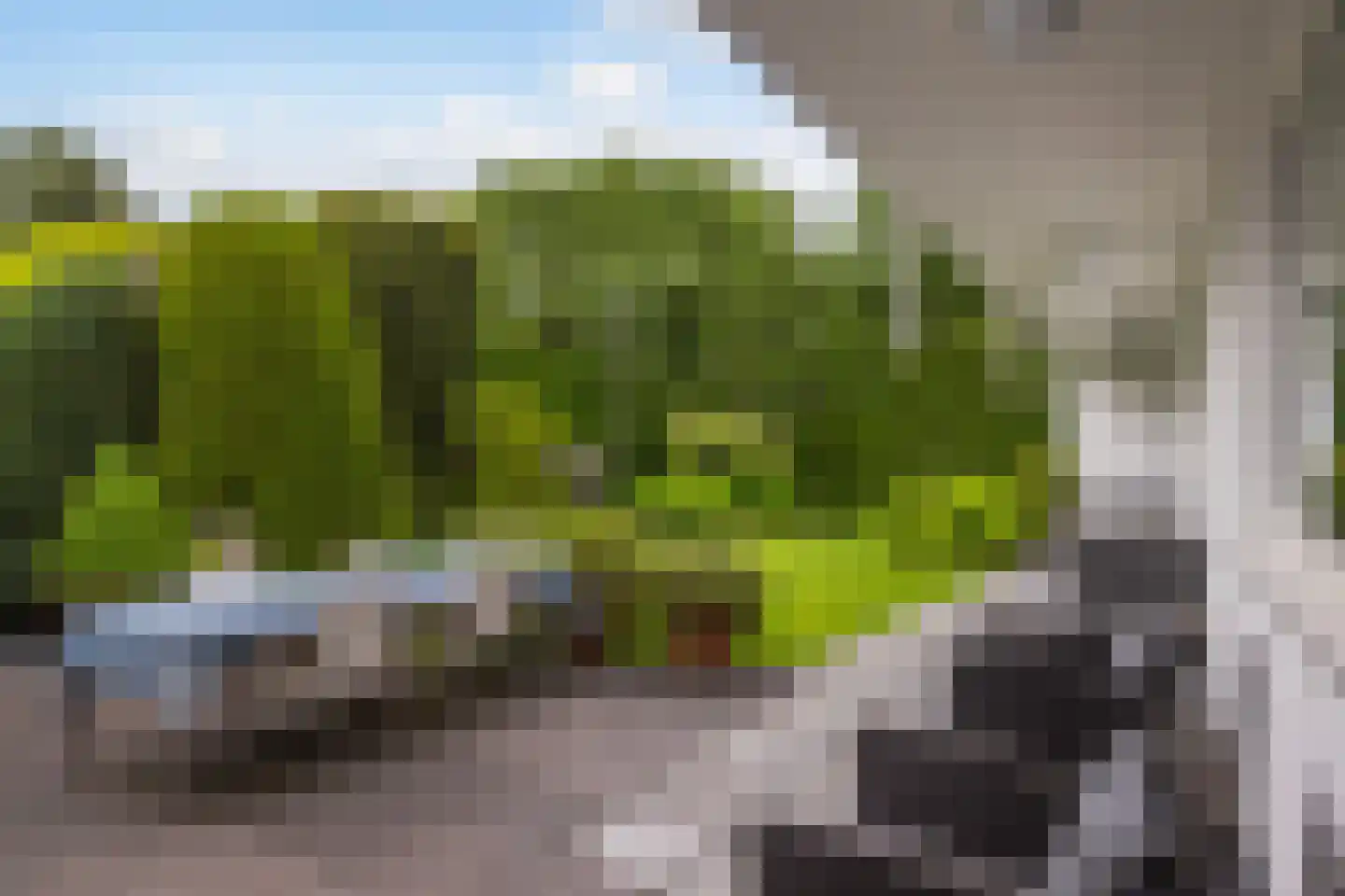 Akeleilaan 5 Zwijndrecht thumbnail 21