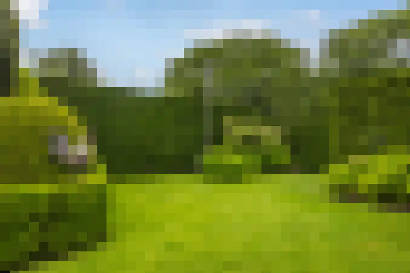 Akeleilaan 5 Zwijndrecht thumbnail 24