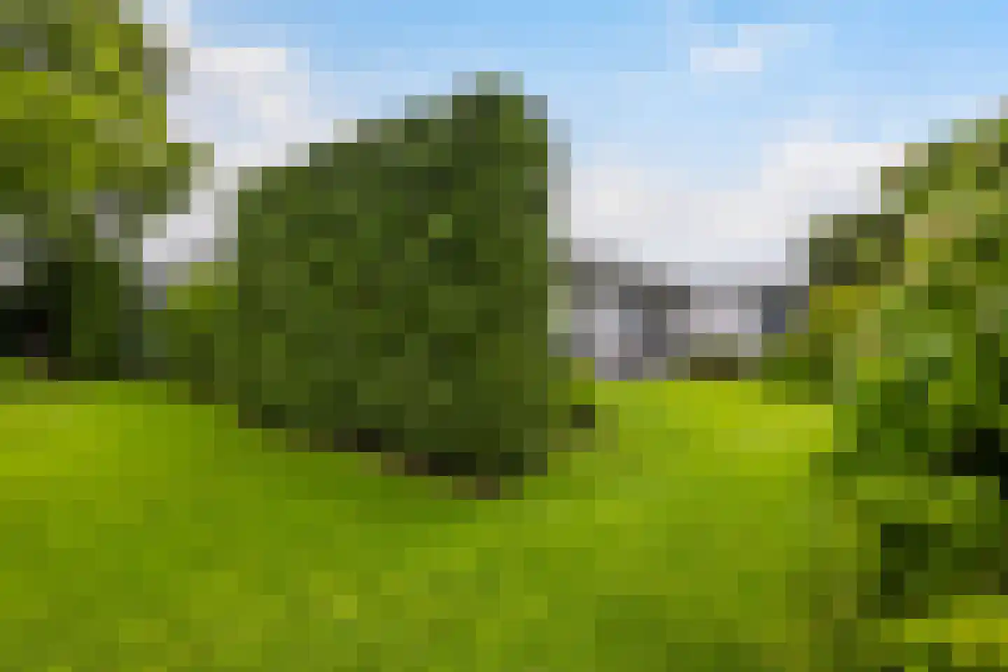 Akeleilaan 5 Zwijndrecht thumbnail 25