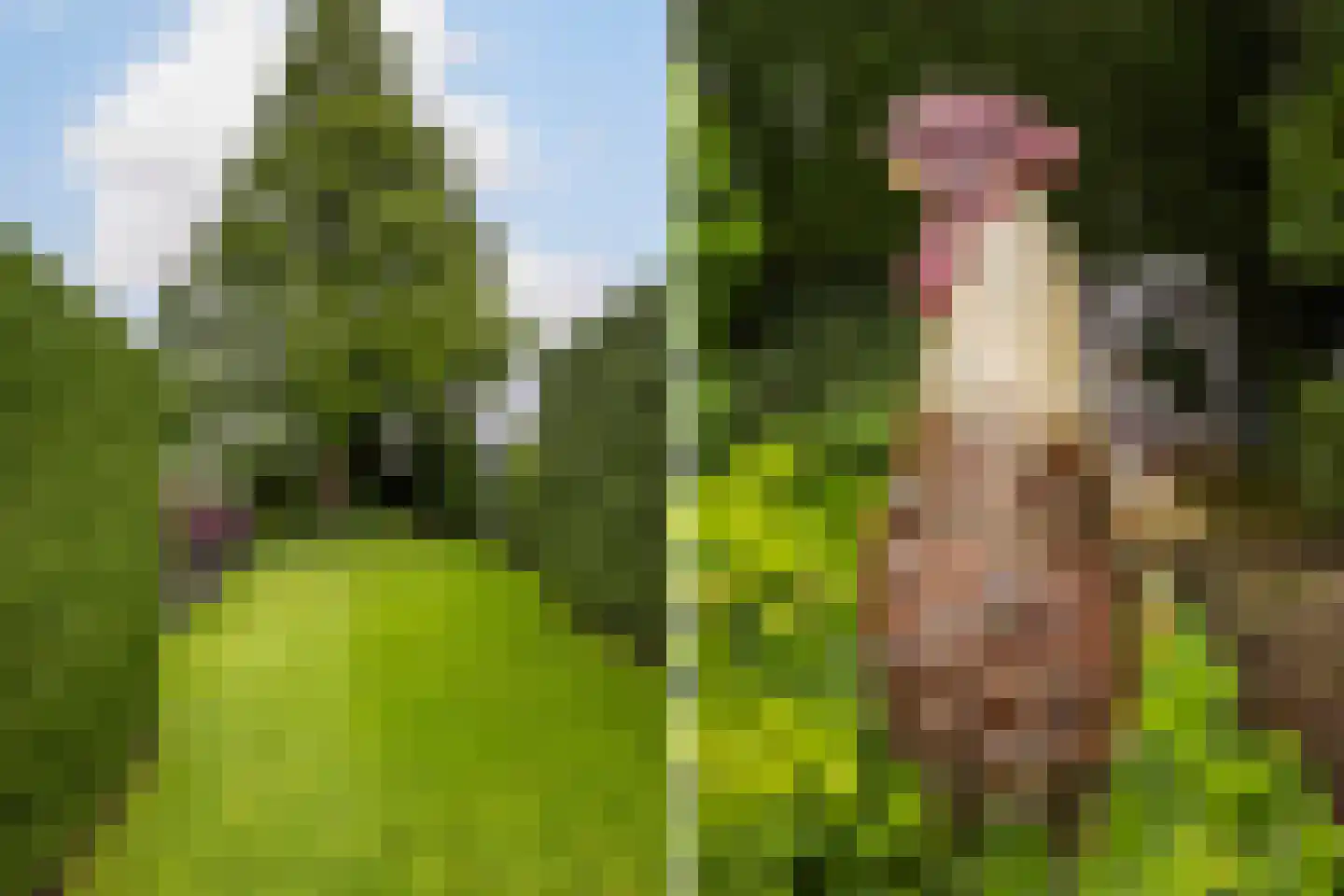 Akeleilaan 5 Zwijndrecht thumbnail 26