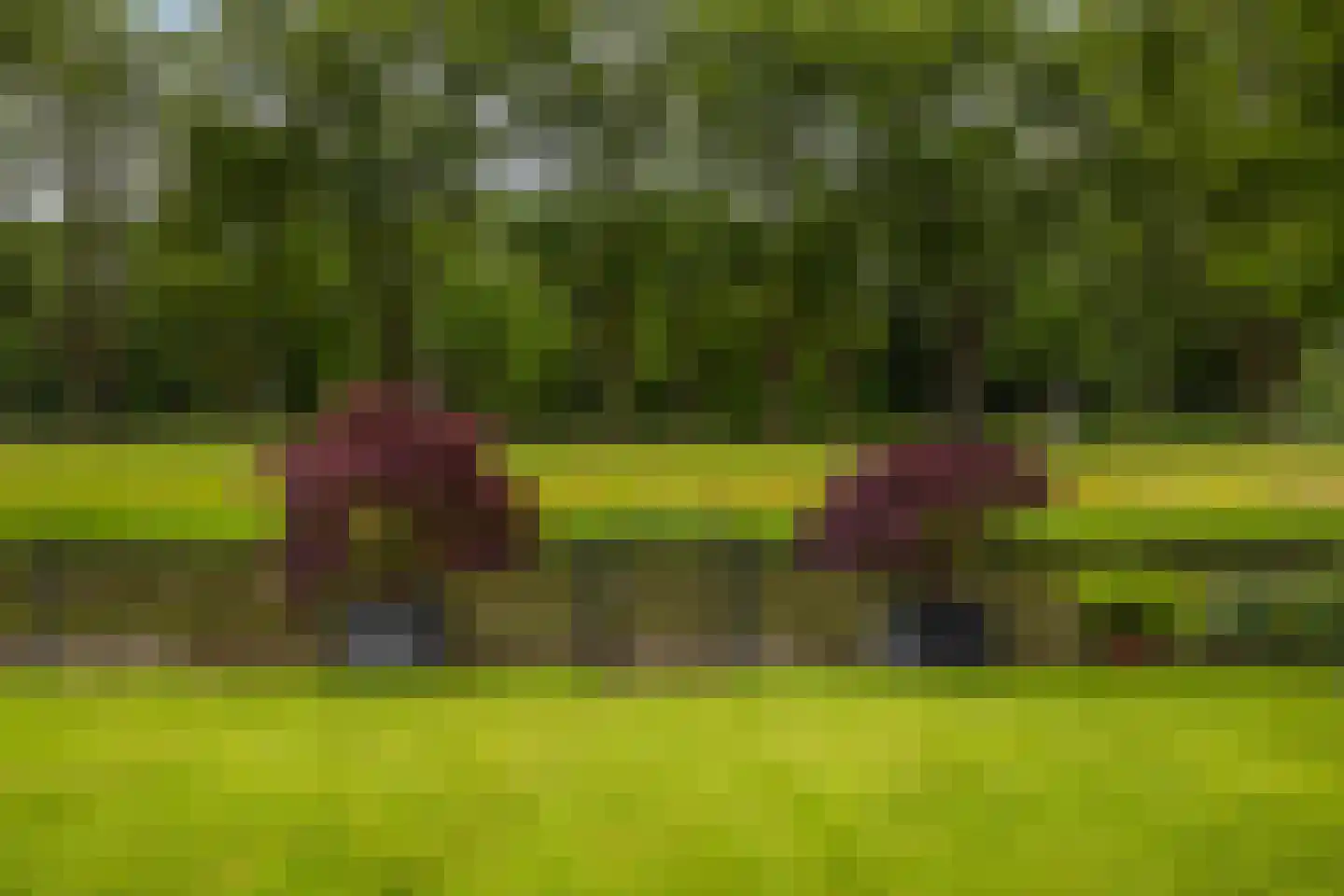 Akeleilaan 5 Zwijndrecht thumbnail 27
