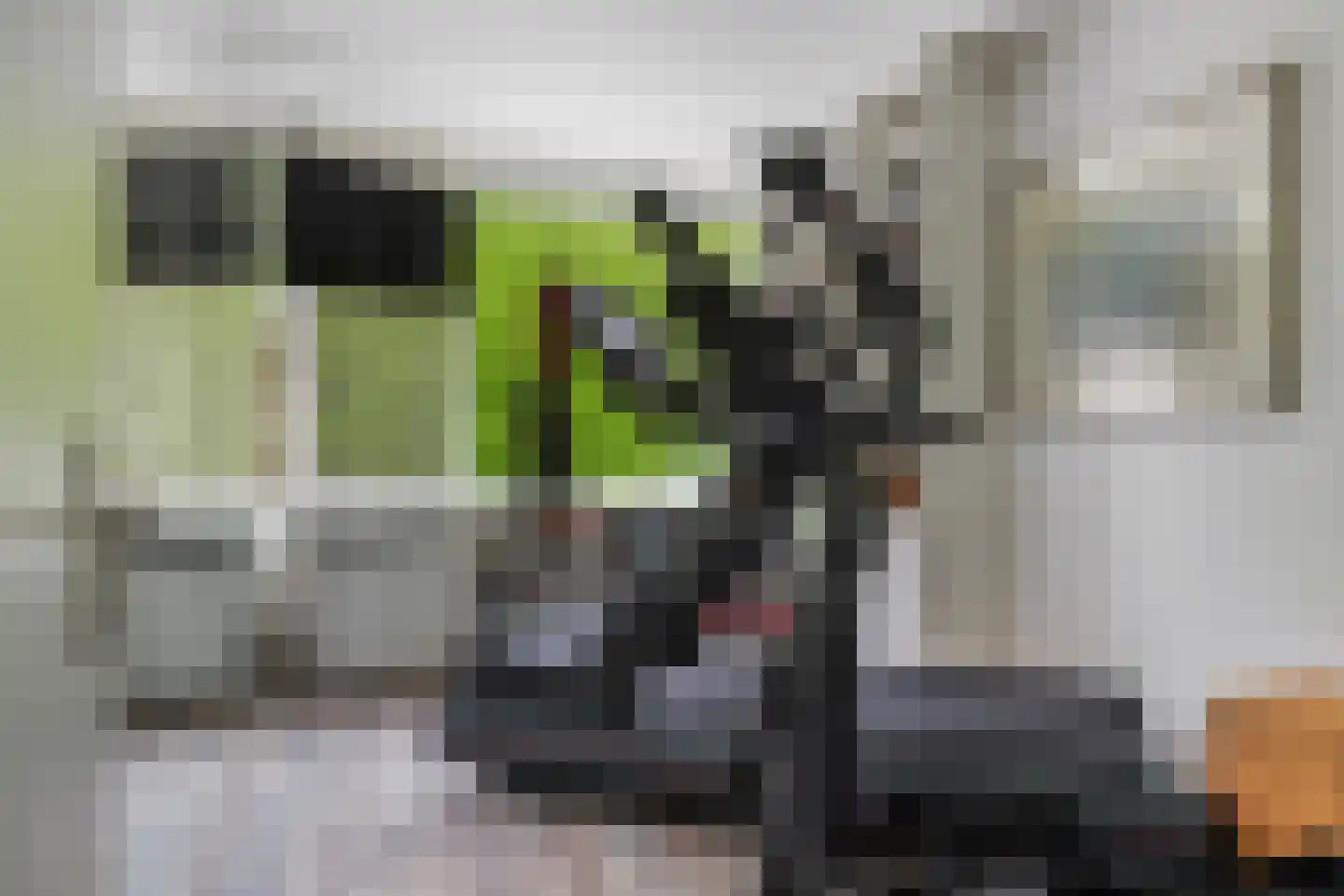 Akeleilaan 5 Zwijndrecht thumbnail 38