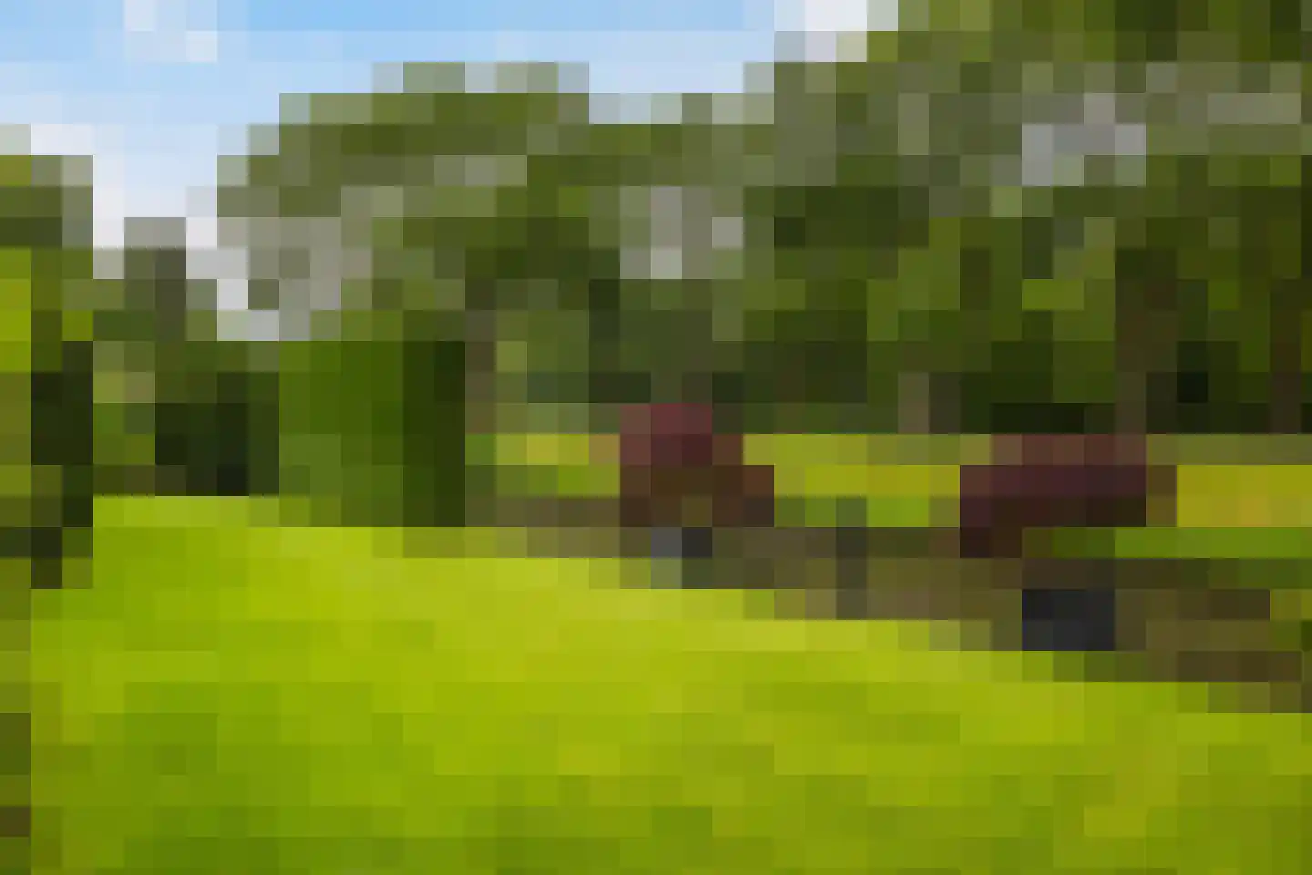 Akeleilaan 5 Zwijndrecht thumbnail 4
