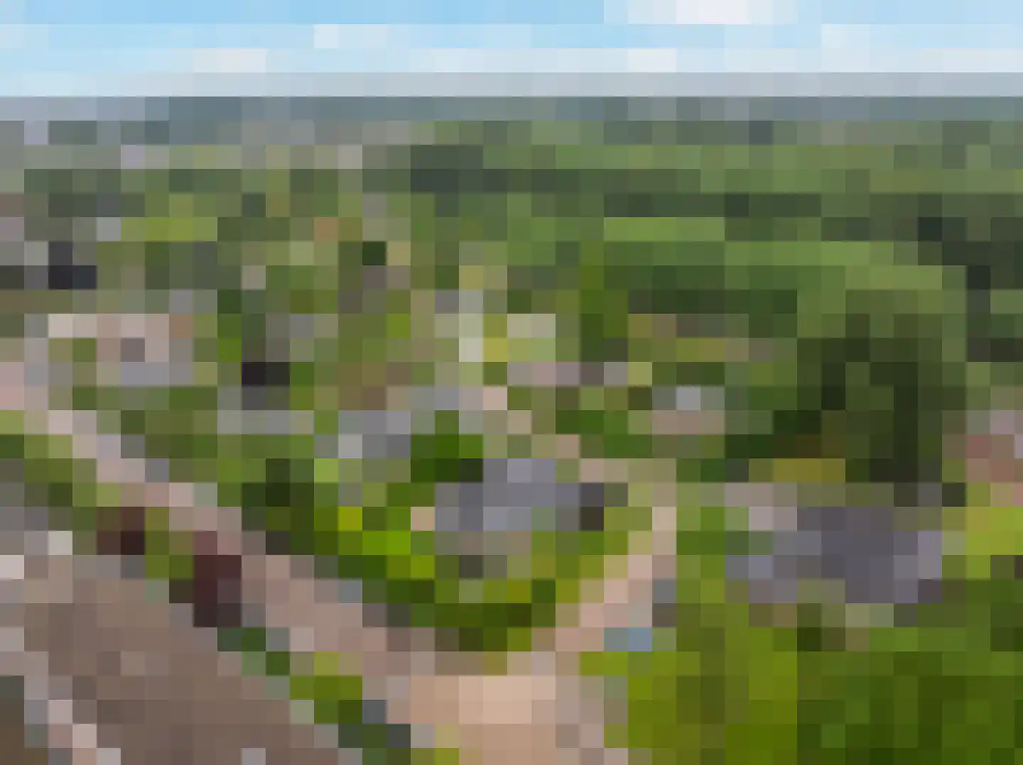 Akeleilaan 5 Zwijndrecht thumbnail 43