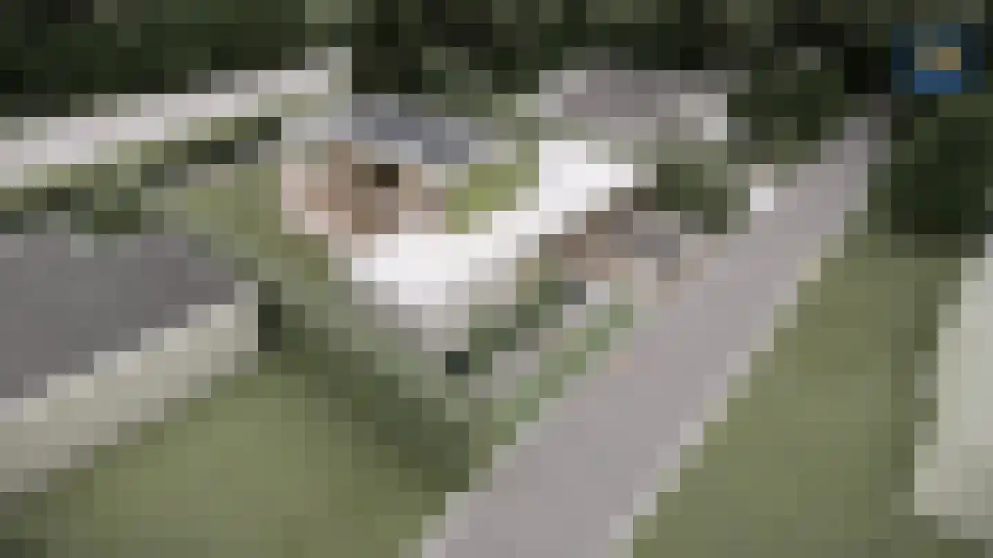 Akeleilaan 5 Zwijndrecht thumbnail 45