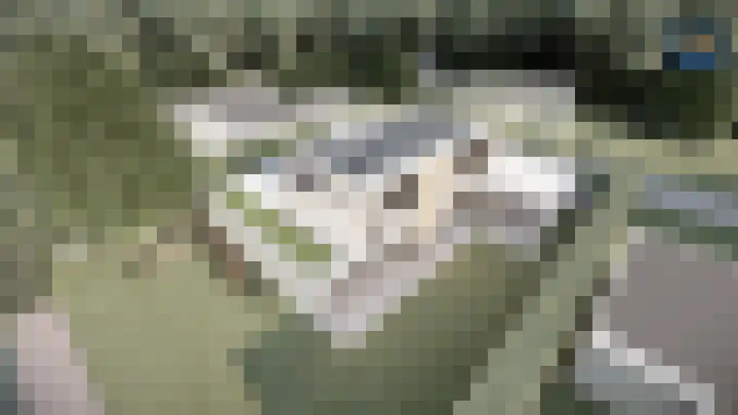 Akeleilaan 5 Zwijndrecht thumbnail 55
