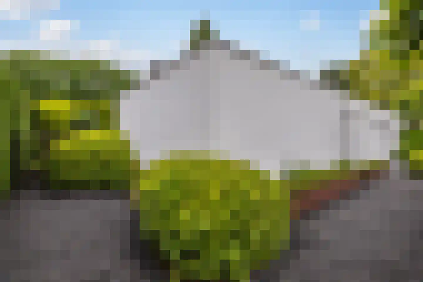 Akeleilaan 5 Zwijndrecht thumbnail 6