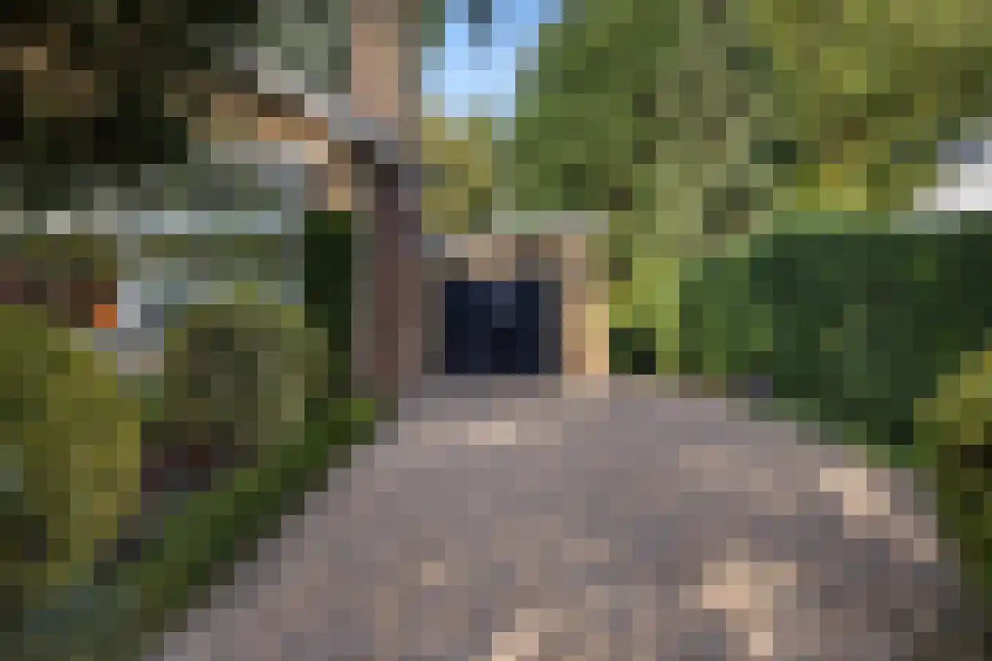 Akeleilaan 79 Zwijndrecht thumbnail 10