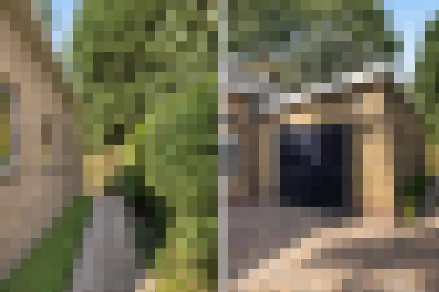 Akeleilaan 79 Zwijndrecht thumbnail 11