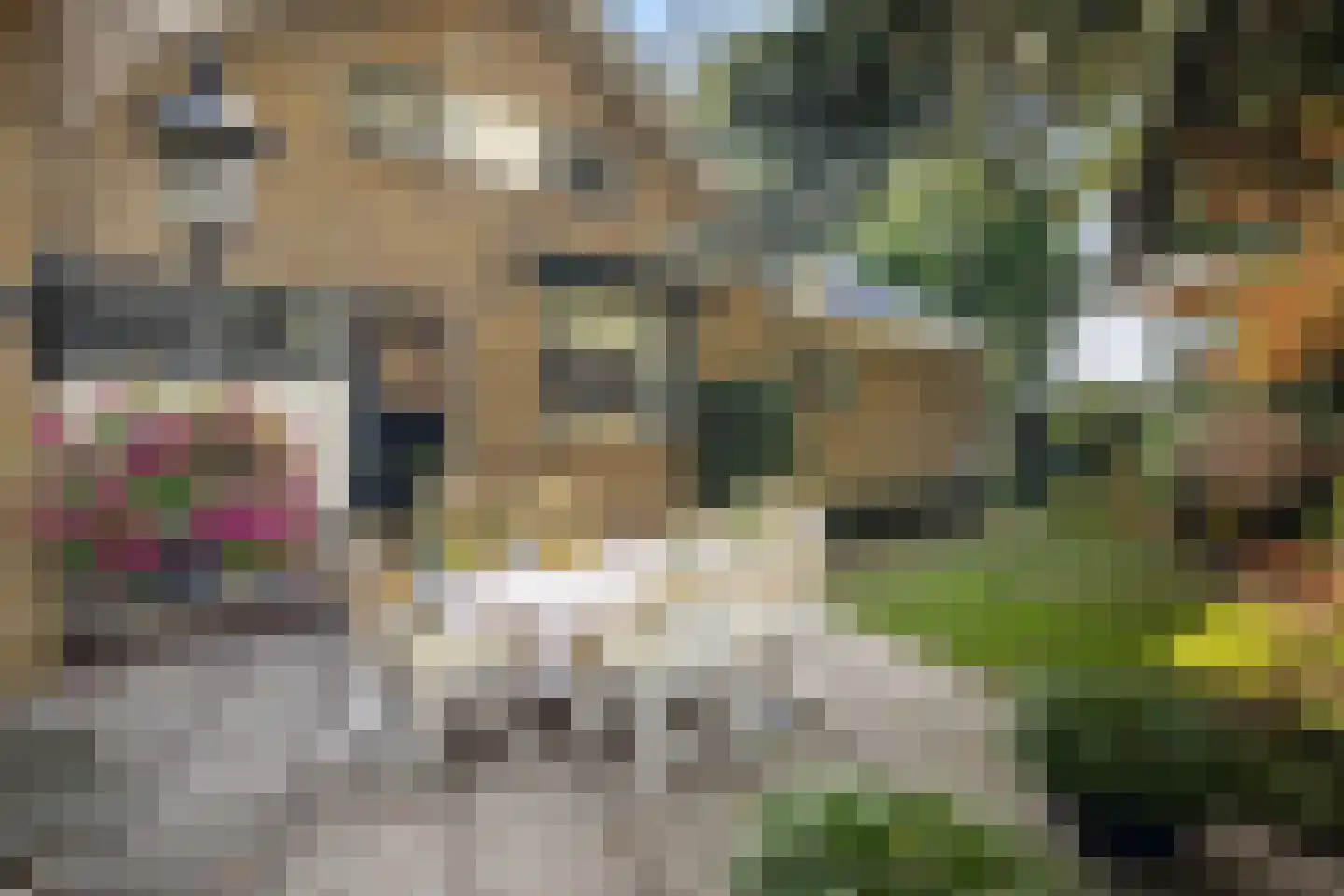 Akeleilaan 79 Zwijndrecht thumbnail 15