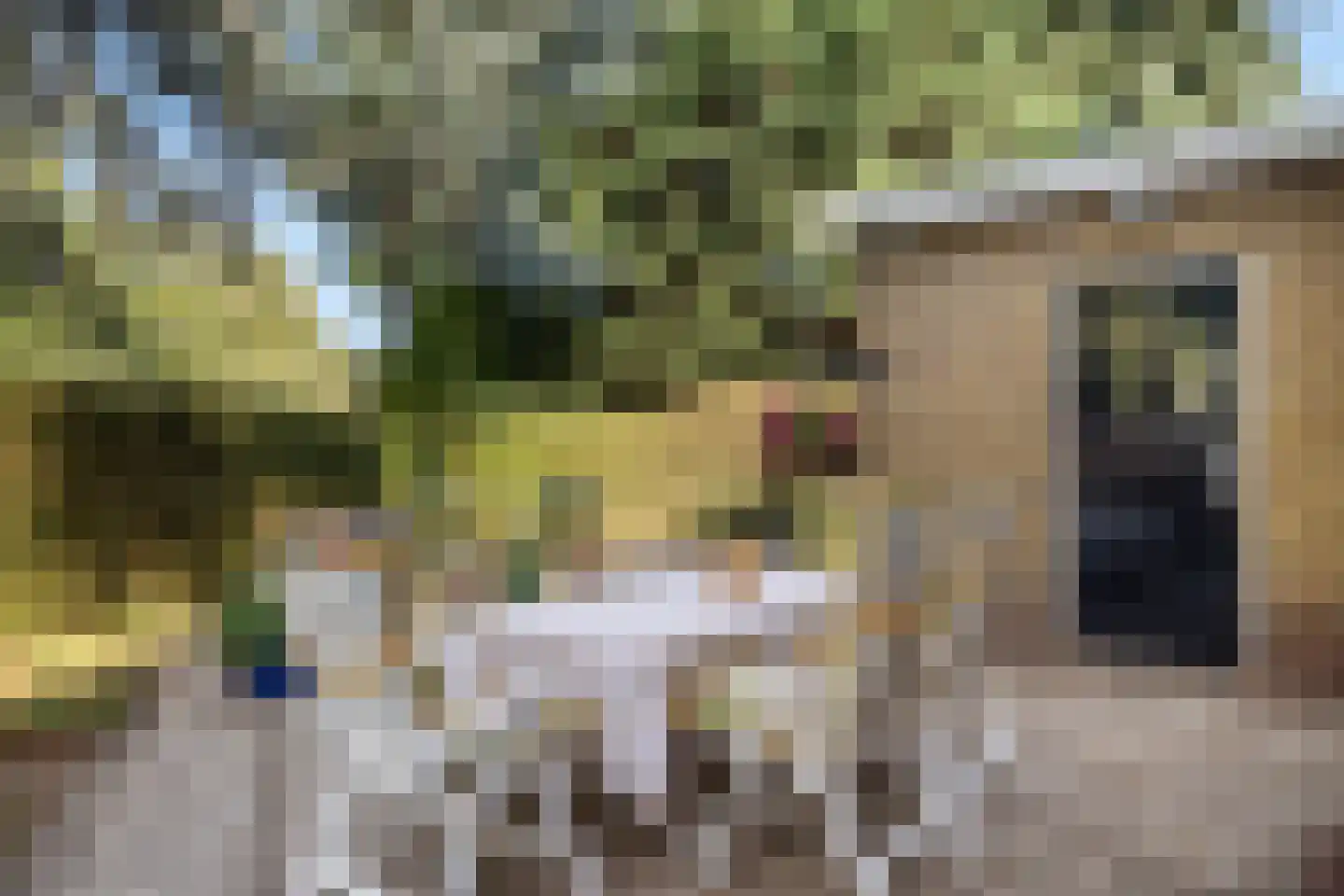 Akeleilaan 79 Zwijndrecht thumbnail 16