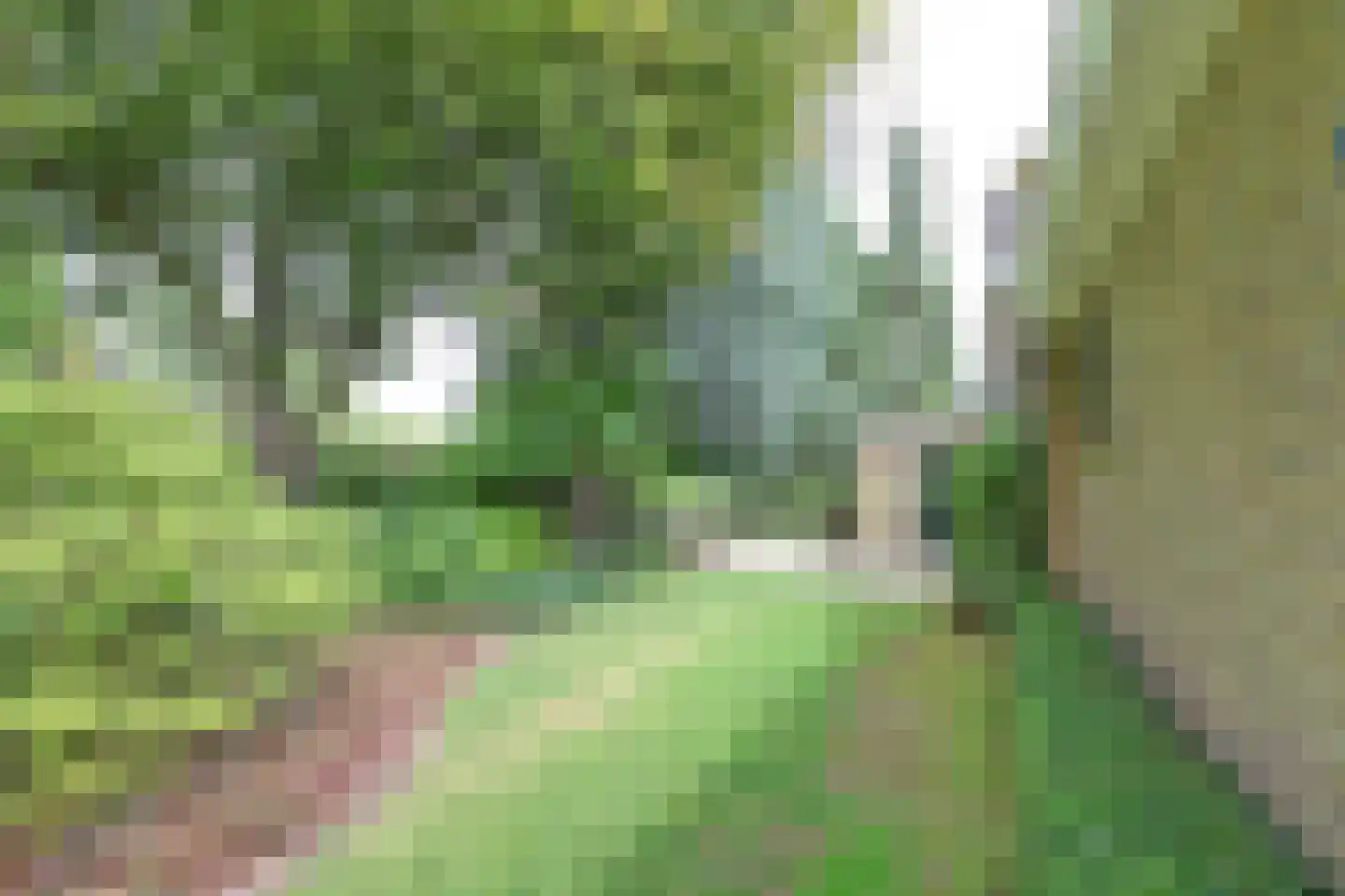 Akeleilaan 79 Zwijndrecht thumbnail 33