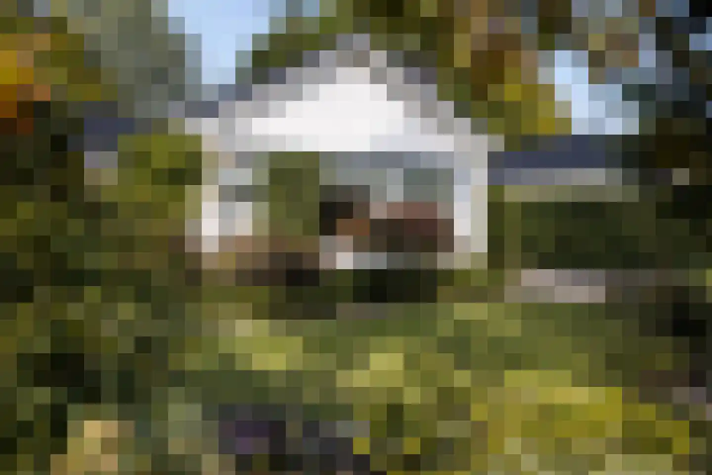 Akeleilaan 79 Zwijndrecht thumbnail 35