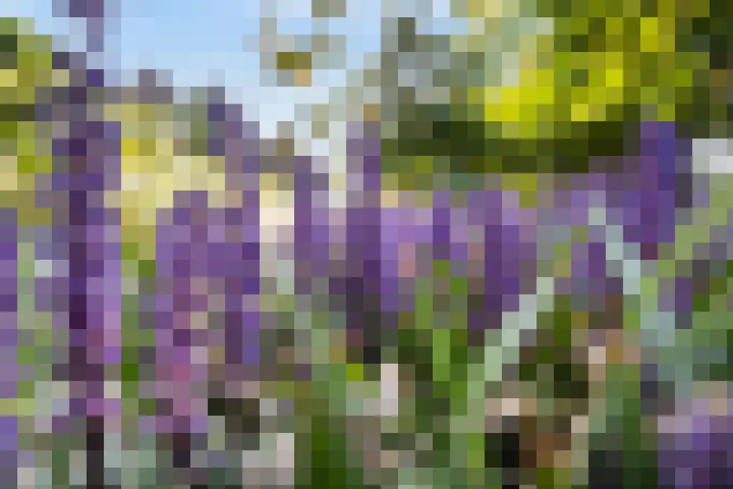 Akeleilaan 79 Zwijndrecht thumbnail 6