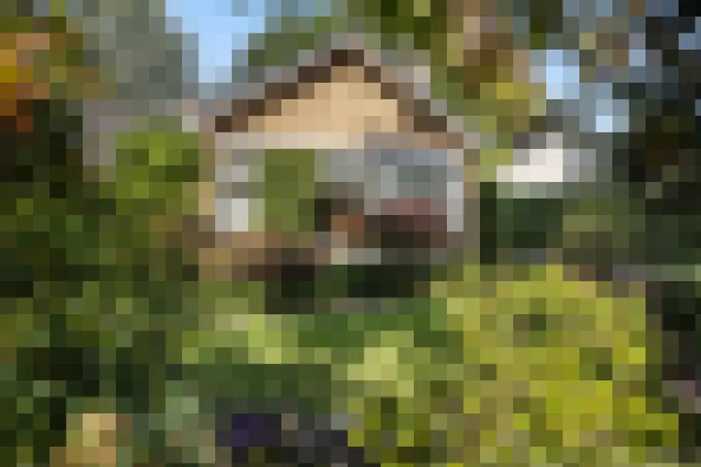Akeleilaan 79 Zwijndrecht thumbnail 7