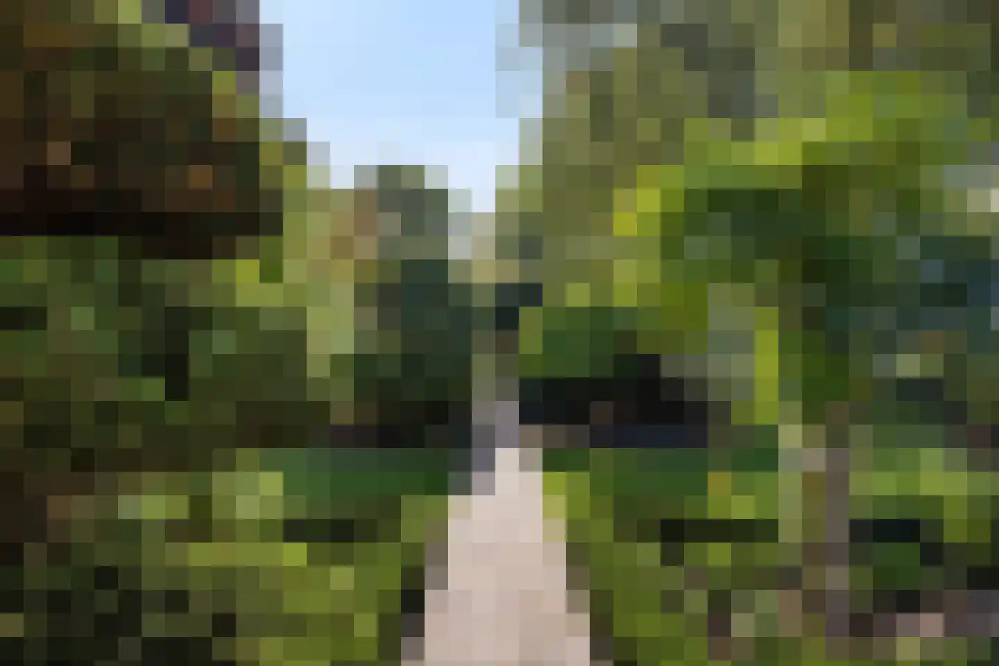 Akeleilaan 79 Zwijndrecht thumbnail 8
