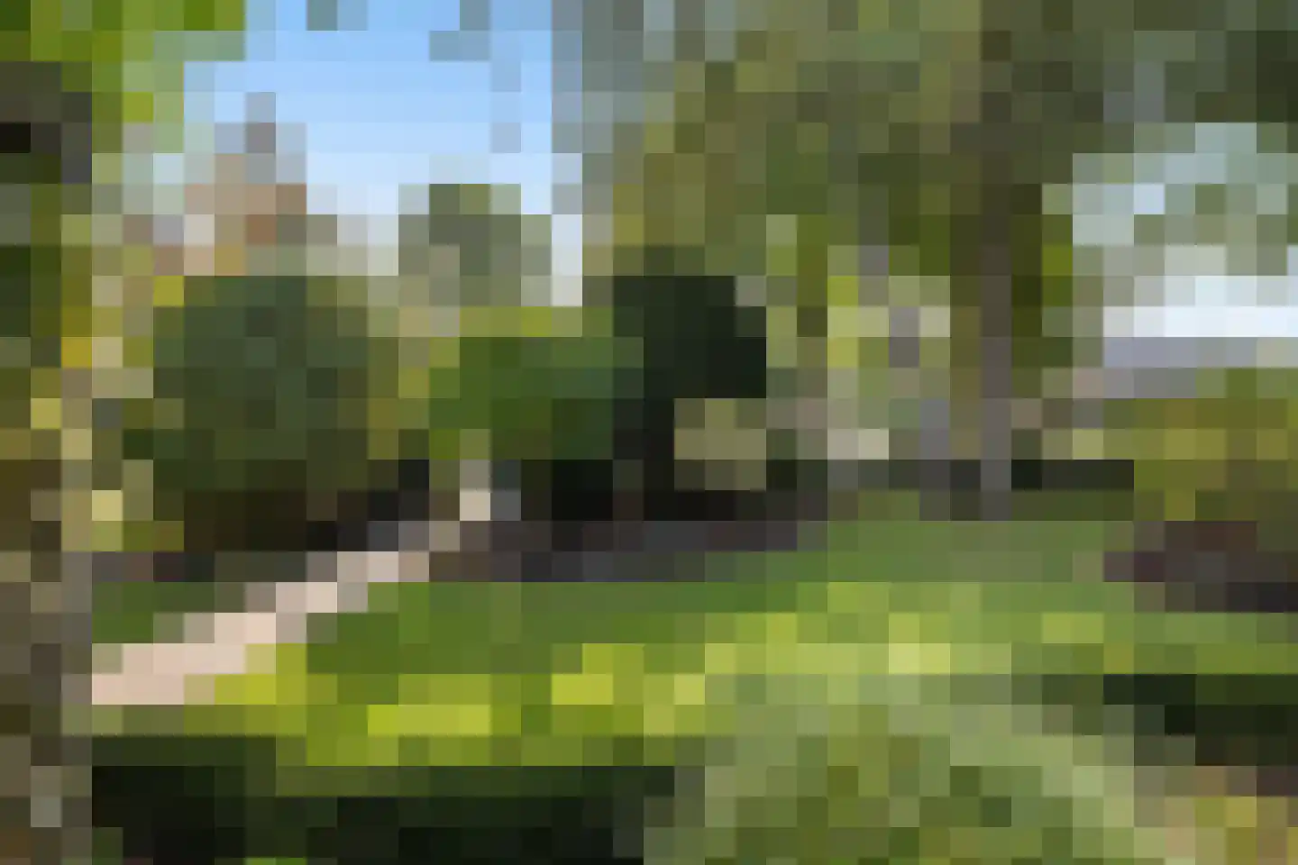 Akeleilaan 79 Zwijndrecht thumbnail 9