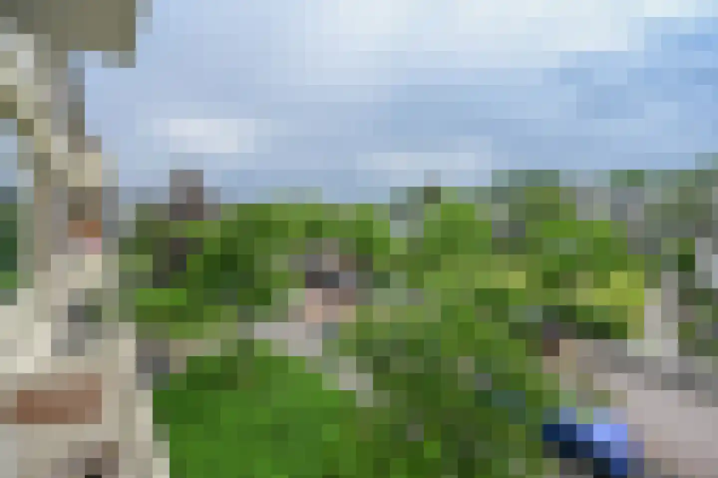 Akeleilaan 9 Oegstgeest thumbnail 10