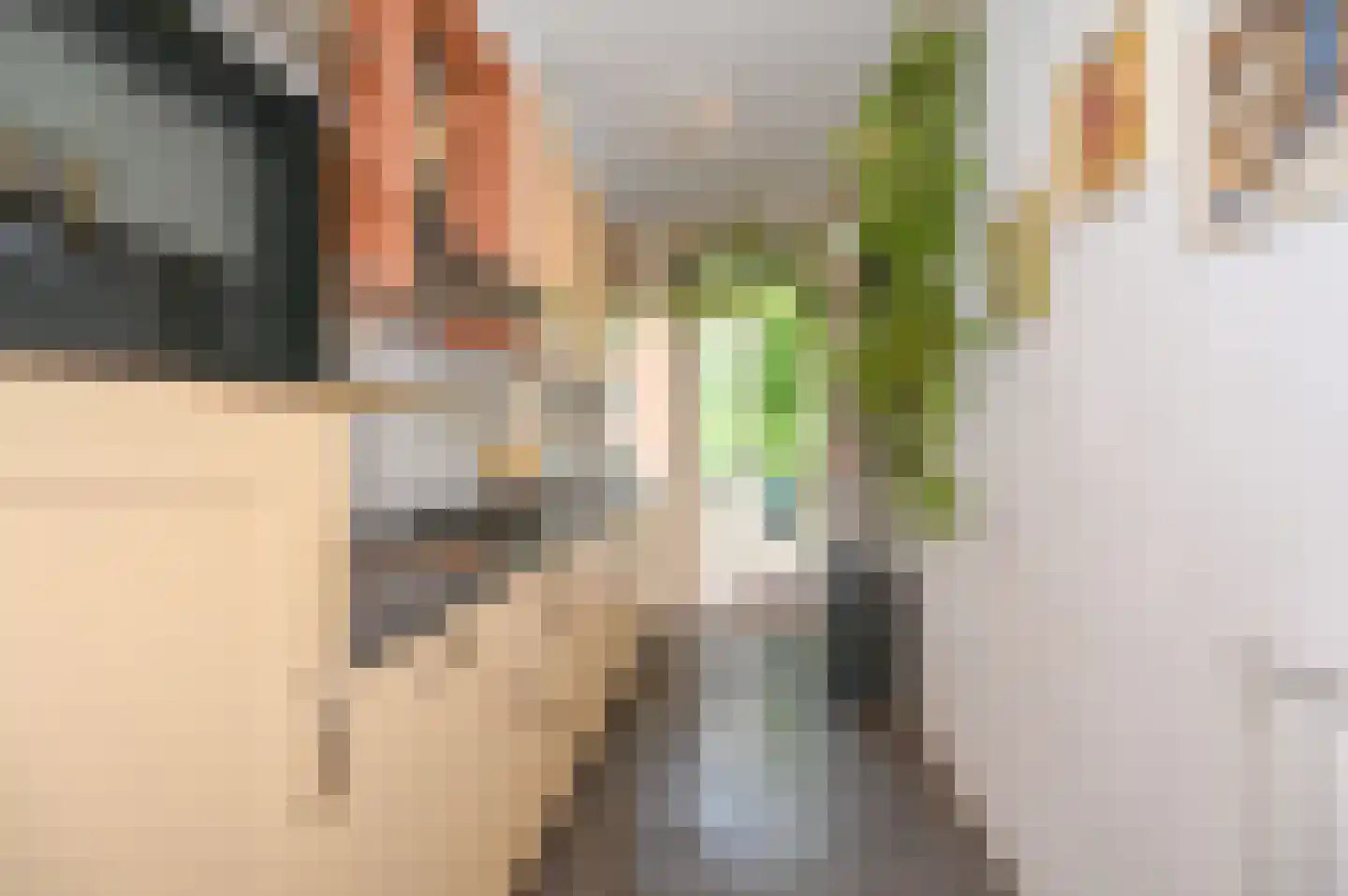 Akeleilaan 9 Oegstgeest thumbnail 11