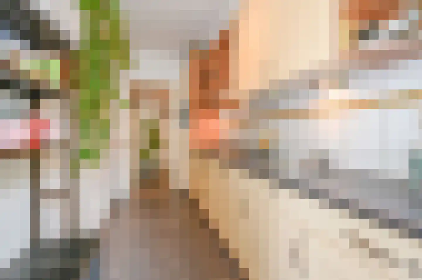 Akeleilaan 9 Oegstgeest thumbnail 12
