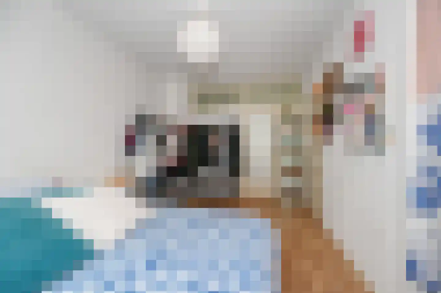 Akeleilaan 9 Oegstgeest thumbnail 17