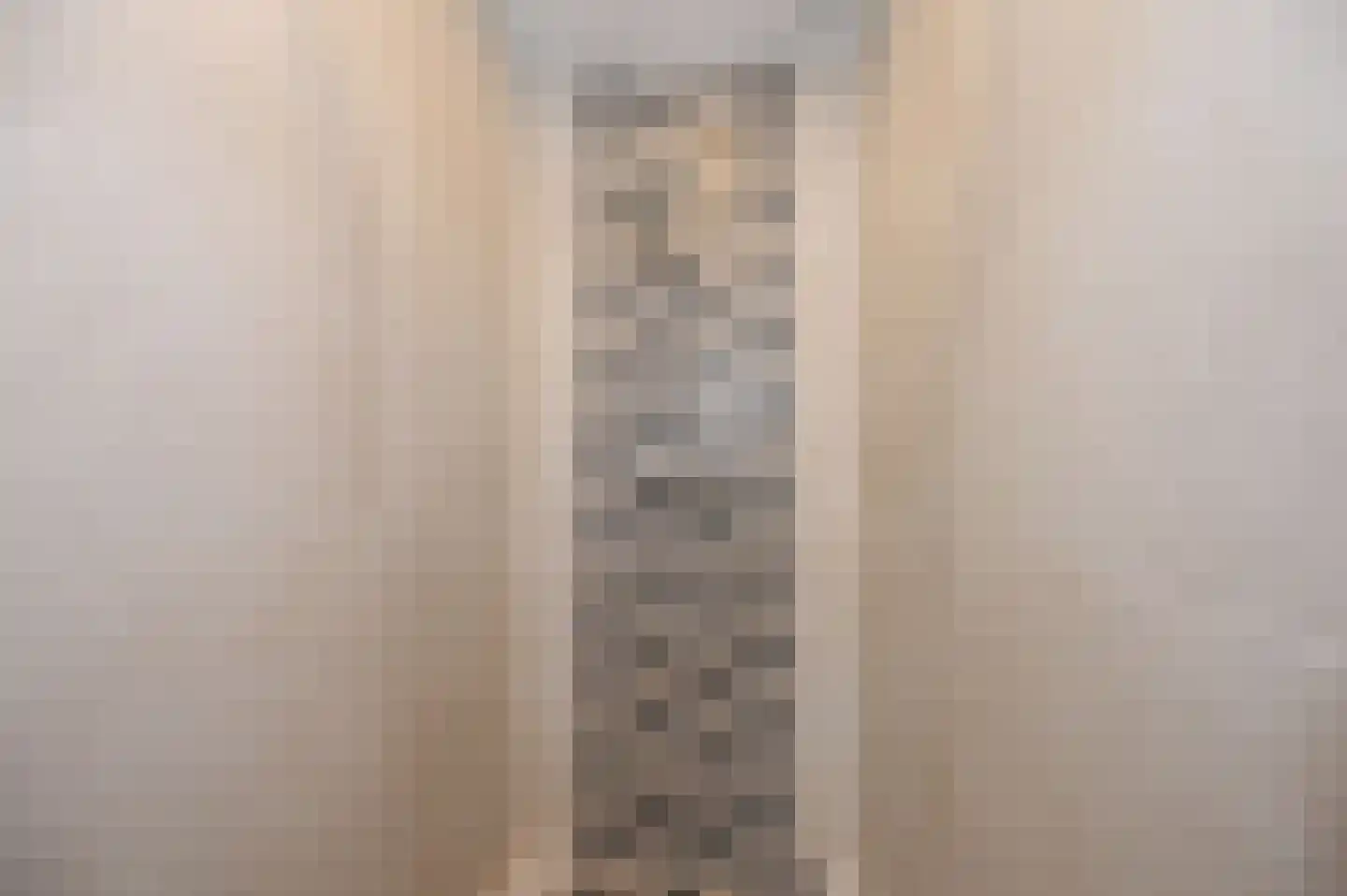 Akeleilaan 9 Oegstgeest thumbnail 19