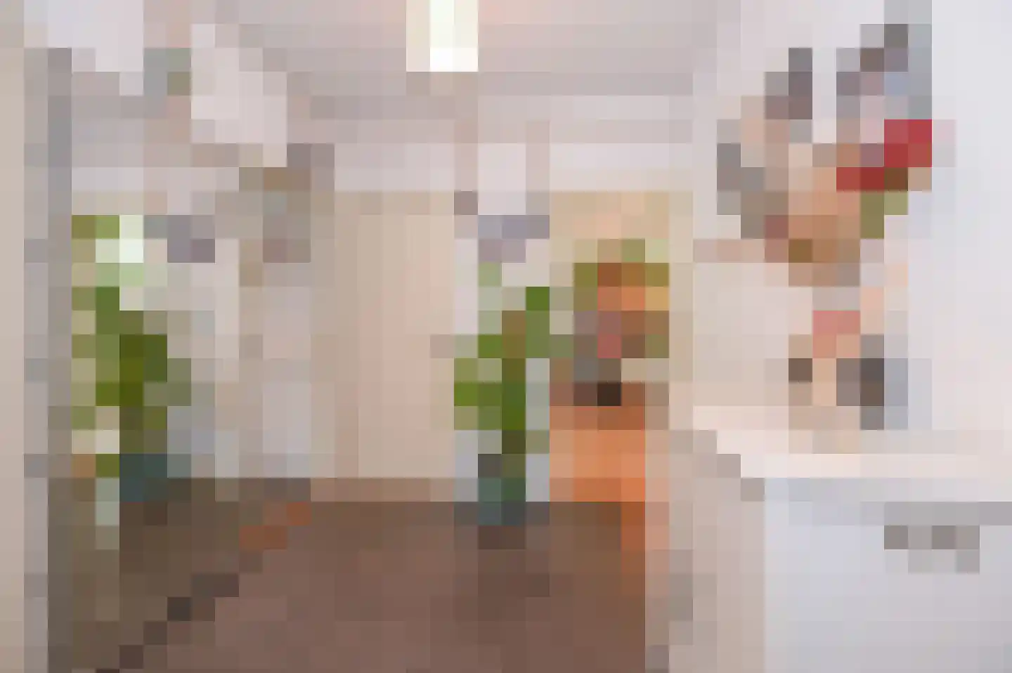Akeleilaan 9 Oegstgeest thumbnail 22