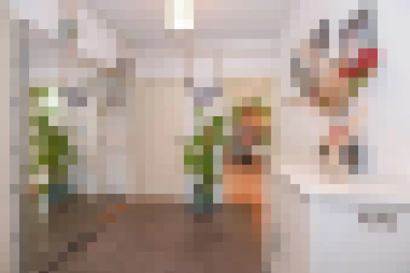 Akeleilaan 9 Oegstgeest thumbnail 23