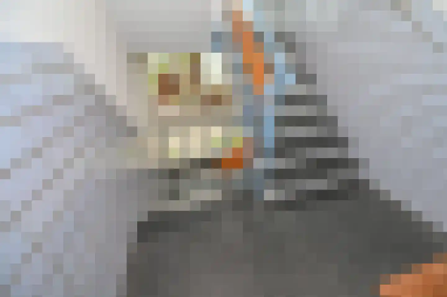 Akeleilaan 9 Oegstgeest thumbnail 25