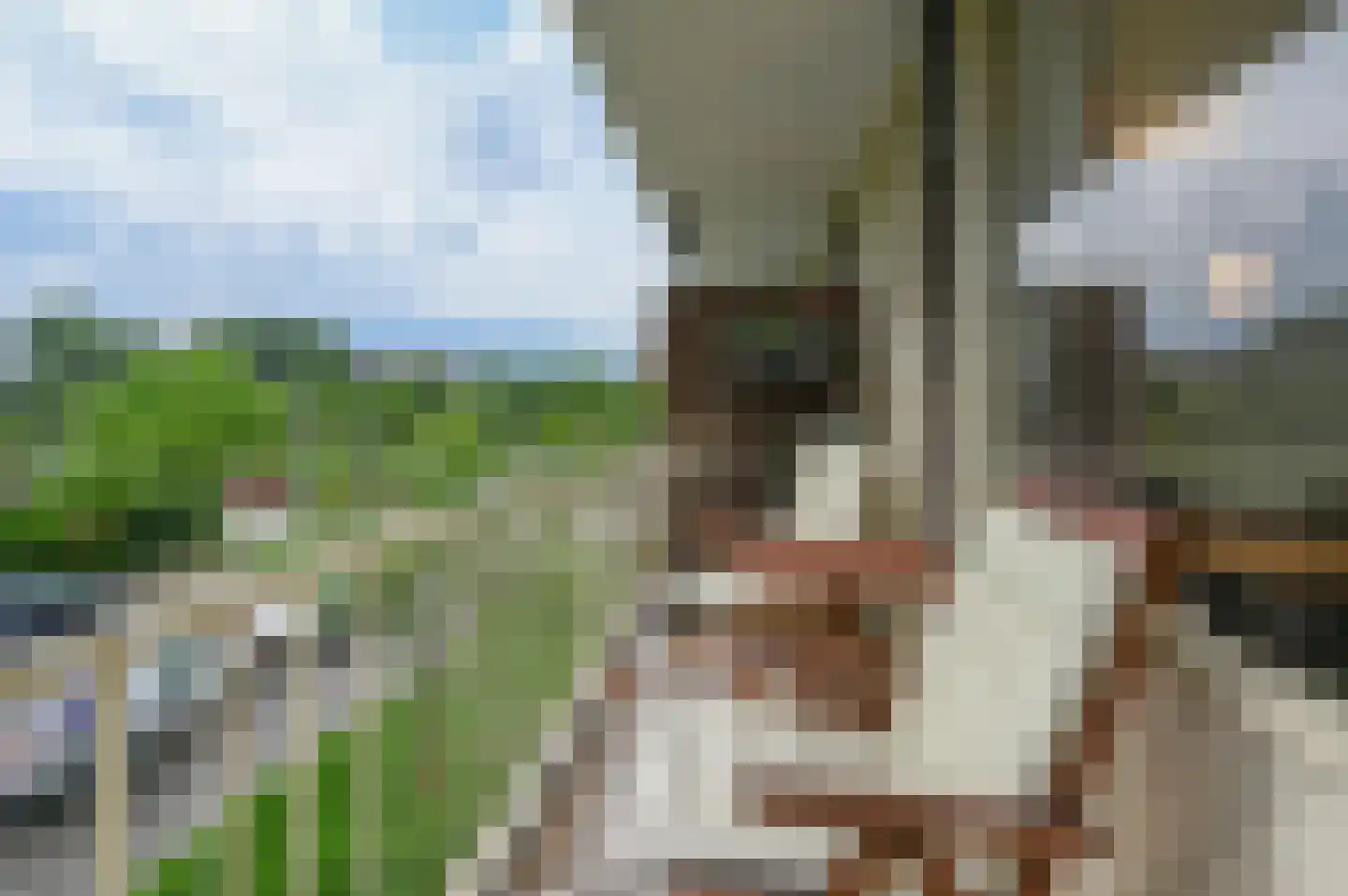 Akeleilaan 9 Oegstgeest thumbnail 7